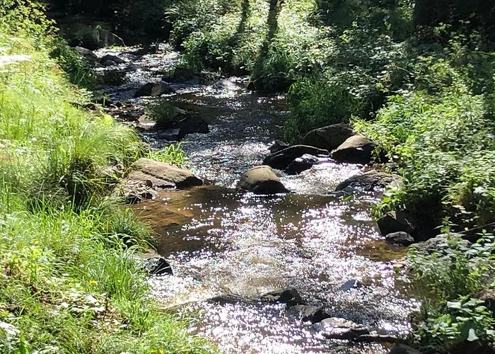 Dom wakacyjny Vikendica Stojanovic *