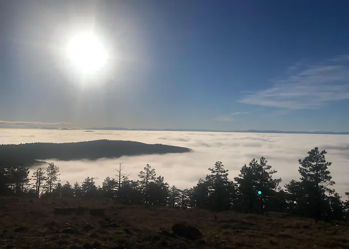 Vikendica Stojanovic 度假居 Mionica