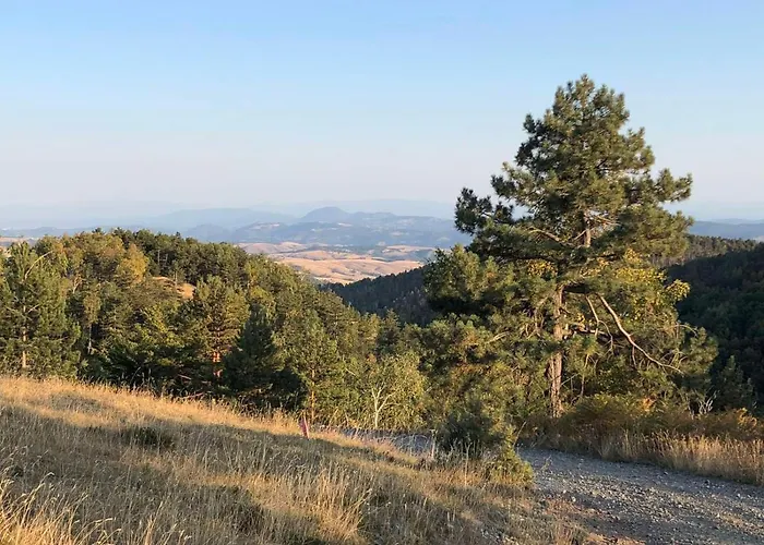 Vikendica Stojanovic 度假居