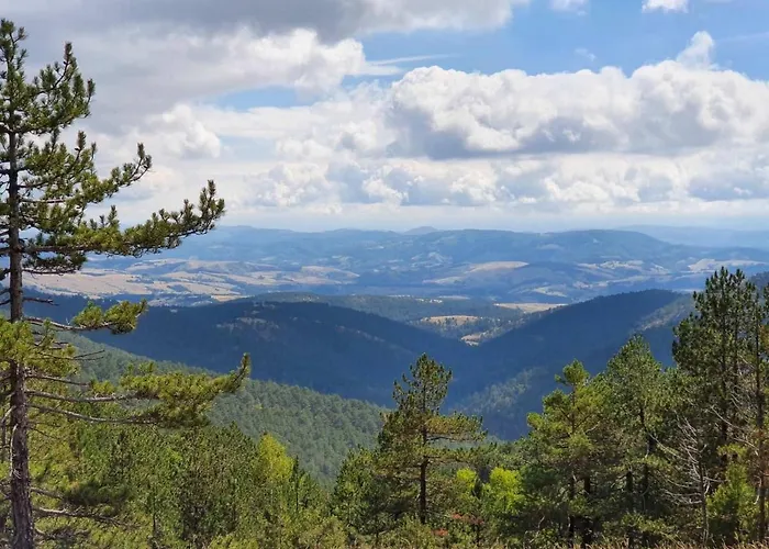 Vikendica Stojanovic *