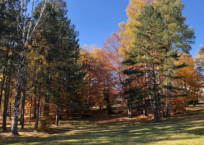 Vikendica Stojanovic 度假居