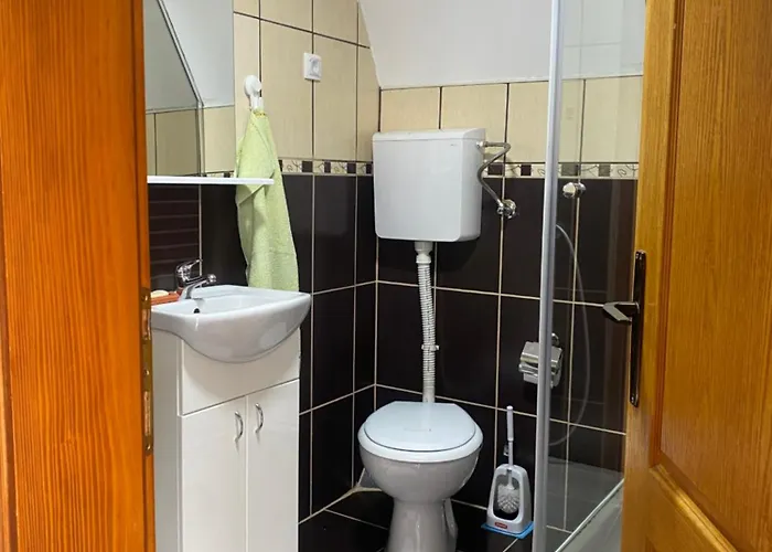 Vikendica Stojanovic 度假居 Mionica